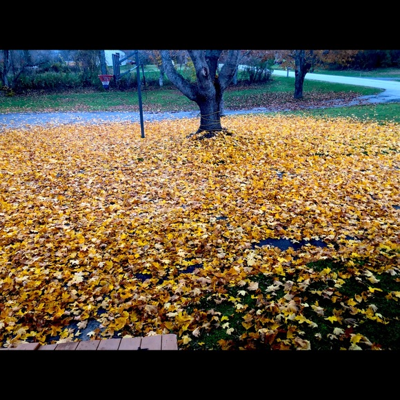 Meet your Posher, Kristi - Picture 2 of 2